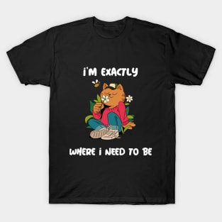 I'm exactly where I need to be T-Shirt